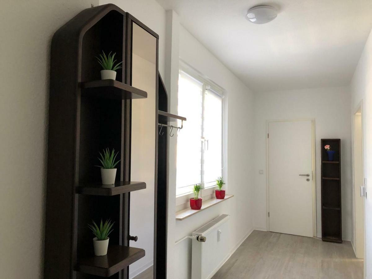 Helle Ferienwohnung An Der Rheinpromenade 50 Qm Duisburg Exterior foto
